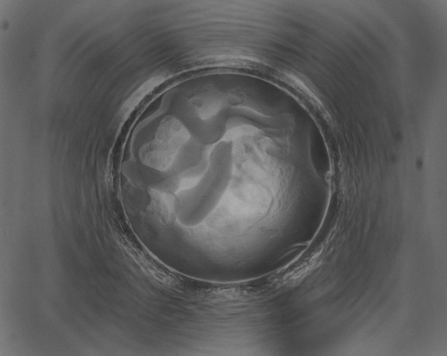 X0000067390883200603311256