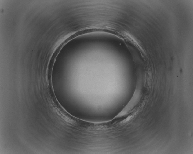 X0000067390884200603311256