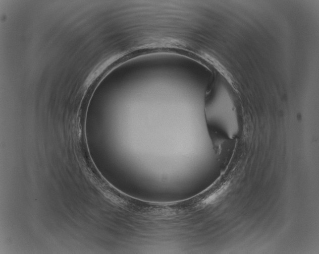 X0000067390885200603311256