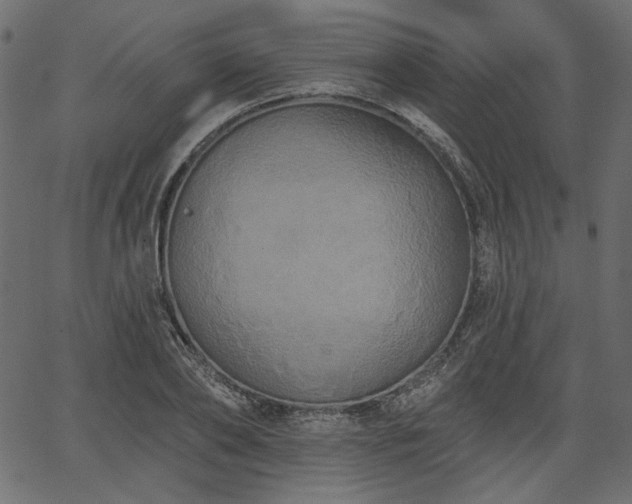 X0000067390886200603311256