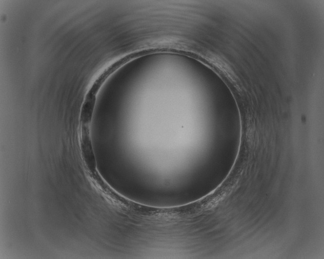 X0000067390888200603311256