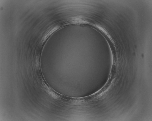 X0000067390889200603311256