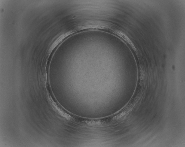 X0000067390890200603311256