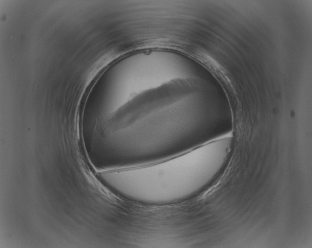 X0000067390892200603311256