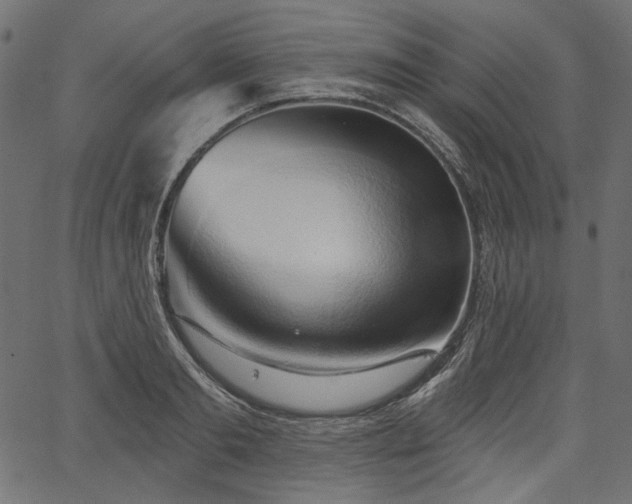 X0000067390893200603311256