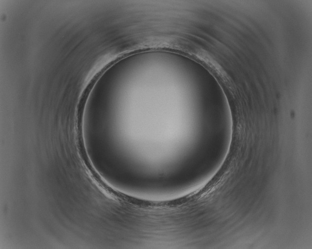 X0000067390894200603311256