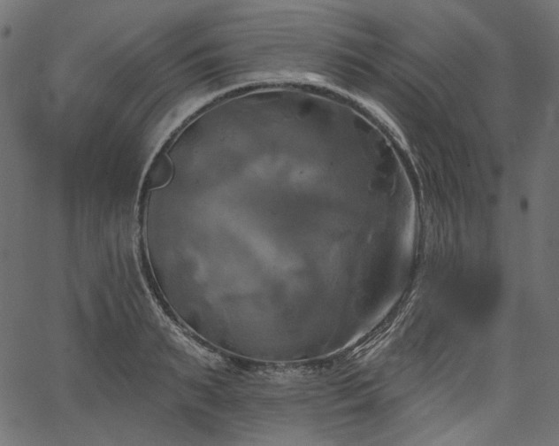 X0000067390895200603311256