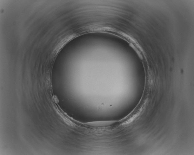 X0000067390897200603311256