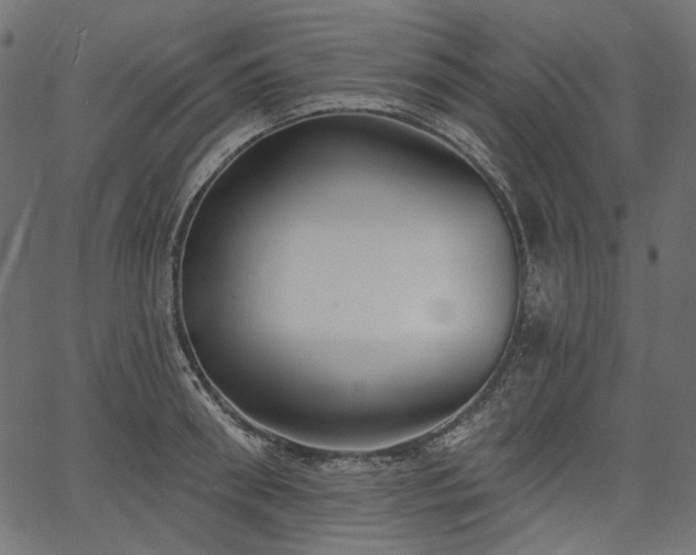 X0000067390898200603311256