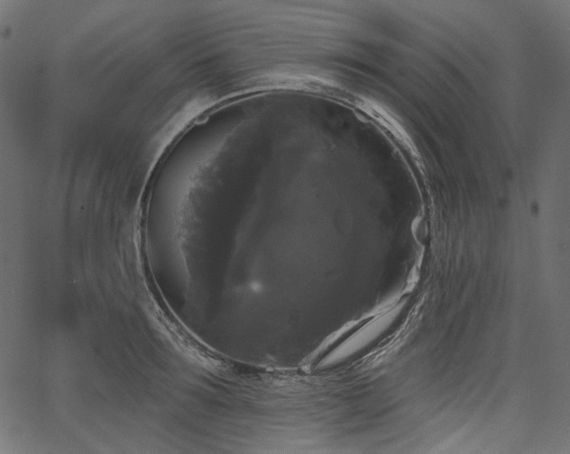 X0000067390899200603311256