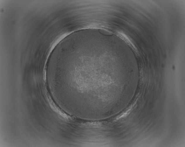 X0000067390900200603311256