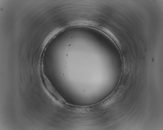 X0000067390901200603311256