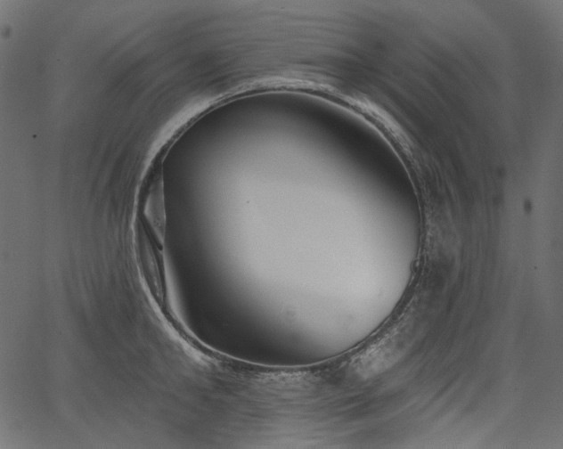 X0000067390902200603311256