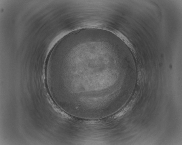 X0000067390904200603311256