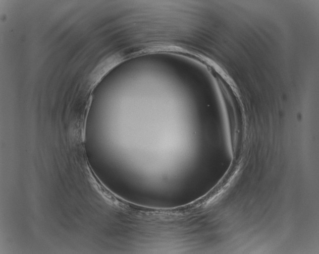 X0000067390905200603311256