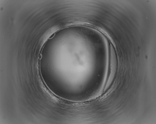 X0000067390906200603311256