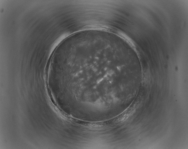 X0000067390907200603311256