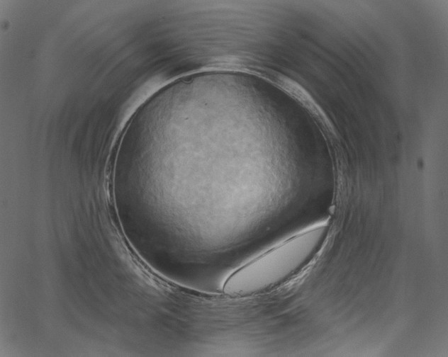 X0000067390908200603311256