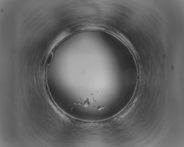 X0000067390909200603311256