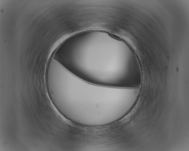 X0000067390910200603311256