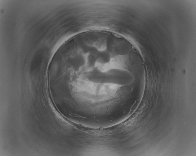 X0000067390911200603311256