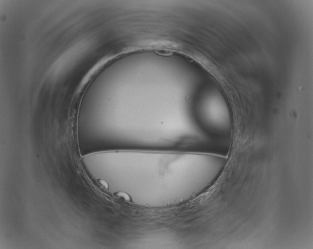 X0000067390912200603311256