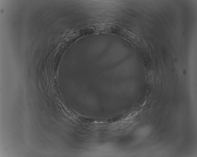 X0000067390913200603311255