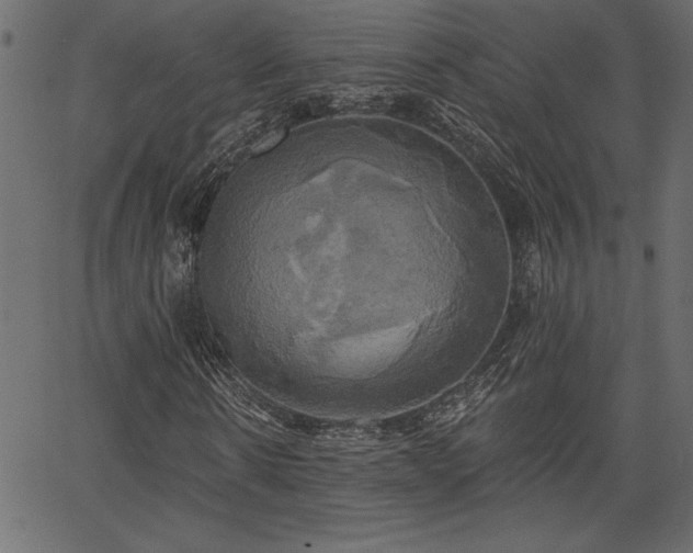 X0000067390914200603311255