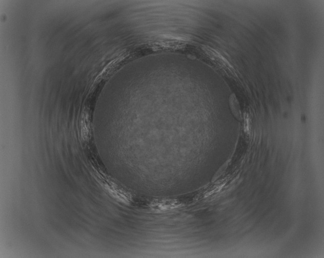 X0000067390915200603311255