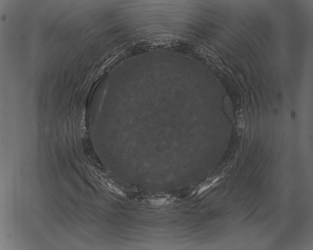 X0000067390916200603311255