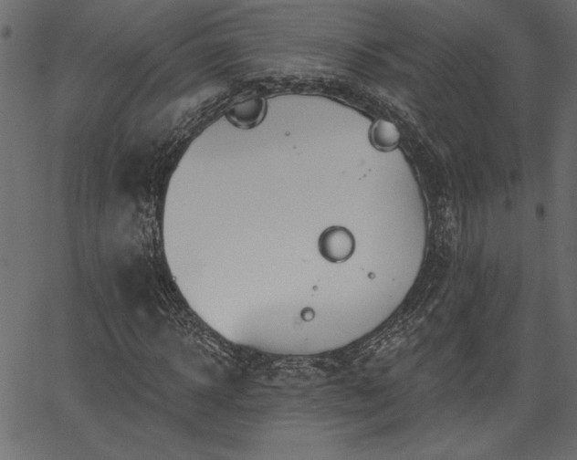 X0000067390918200603311255