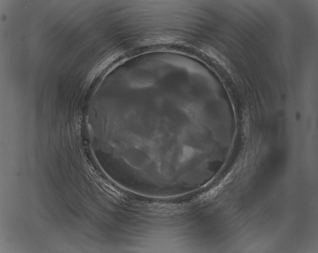 X0000067390921200603311255