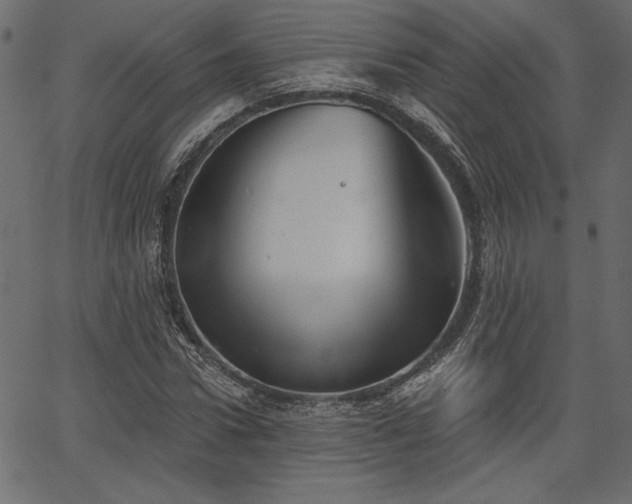 X0000067390922200603311255