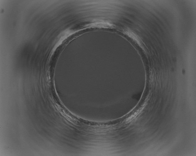 X0000067390923200603311255