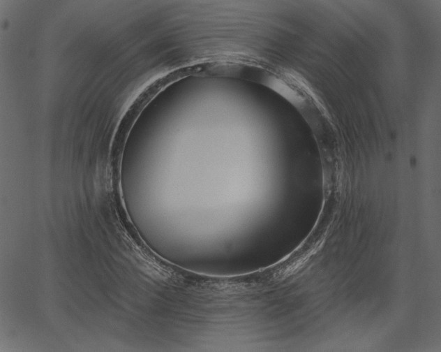 X0000067390924200603311255