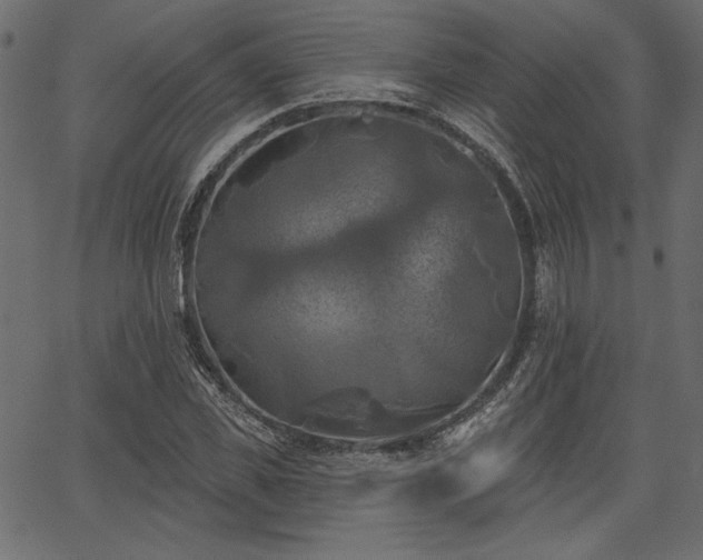 X0000067390925200603311255