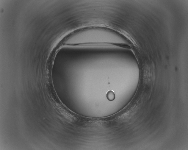 X0000067390926200603311255