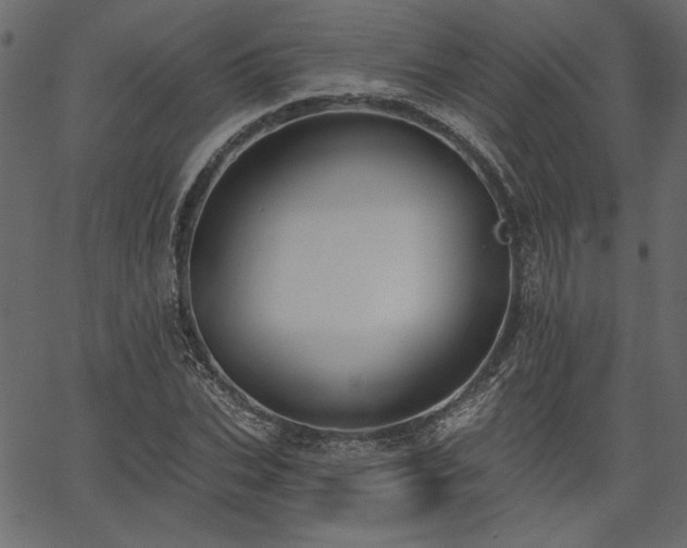 X0000067390927200603311255