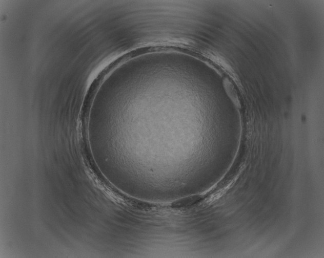 X0000067390928200603311255