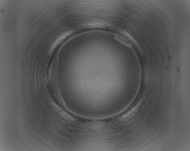 X0000067390930200603311255