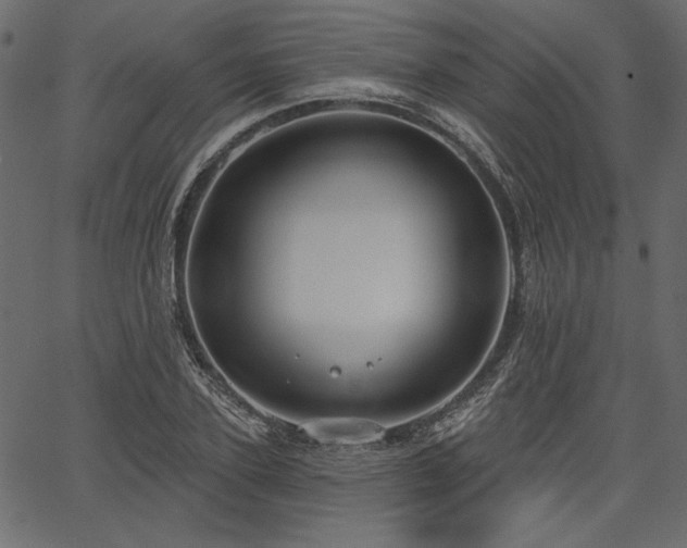 X0000067390931200603311255