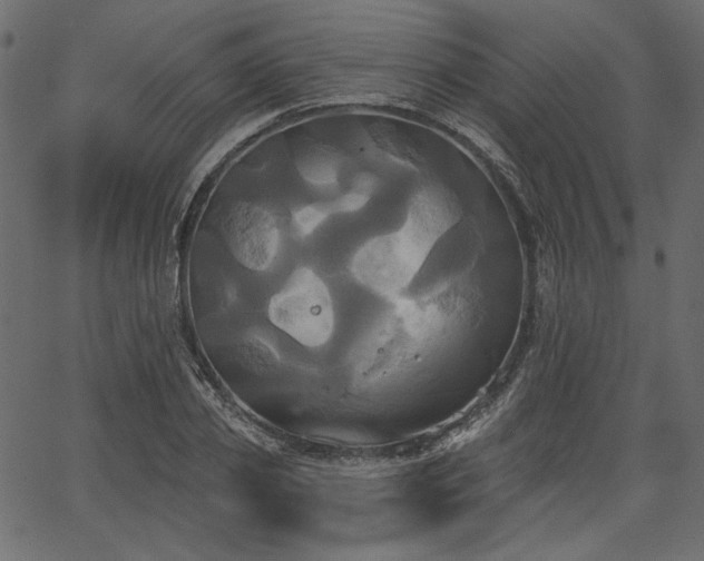 X0000067390933200603311255