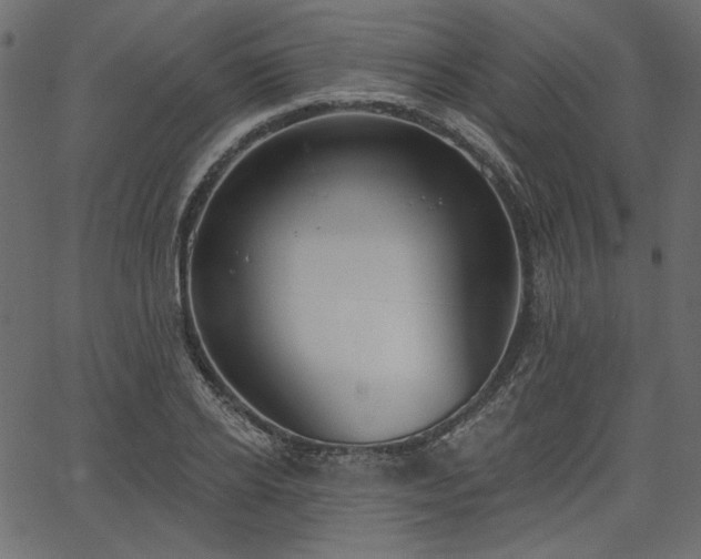 X0000067390934200603311255