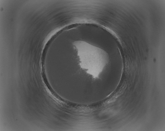 X0000067390935200603311255