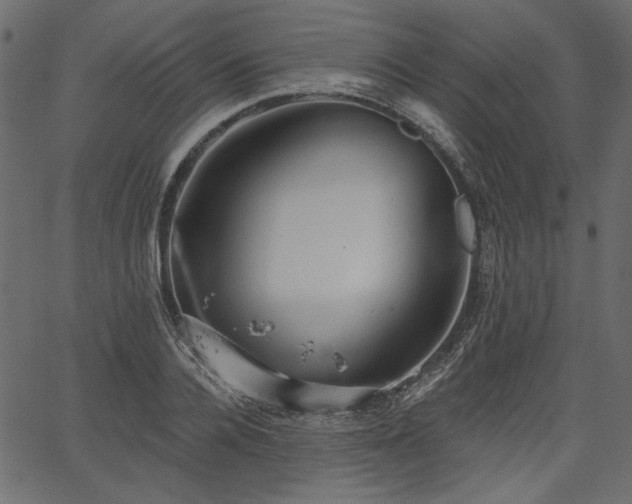 X0000067390936200603311255