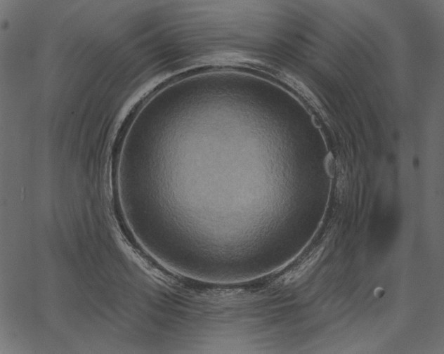 X0000067390939200603311255