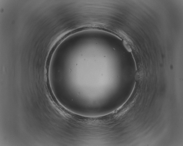 X0000067390940200603311255