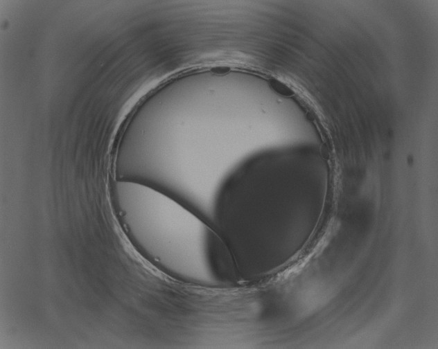 X0000067390941200603311255