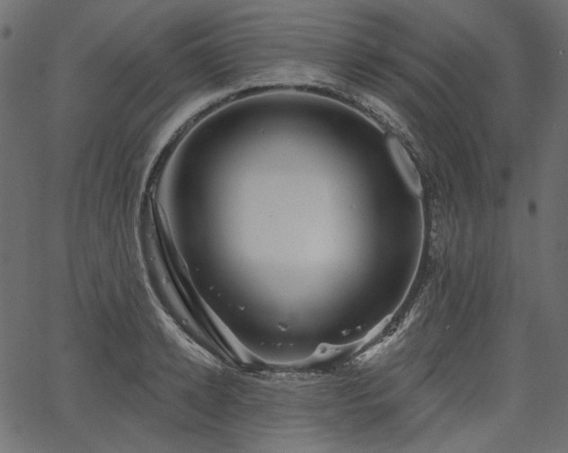 X0000067390942200603311255