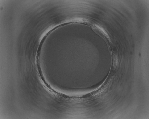 X0000067390944200603311255